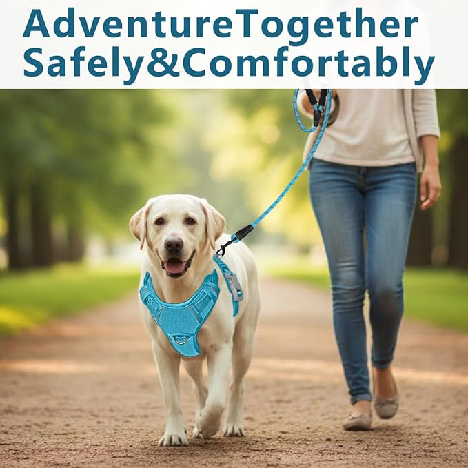BARKBAY Dog Harness No Pull Oxford with ID Tag Pocket - Heavy Duty, Reflective, Easy Control for Large Dogs(Aqua Oxford,XL)