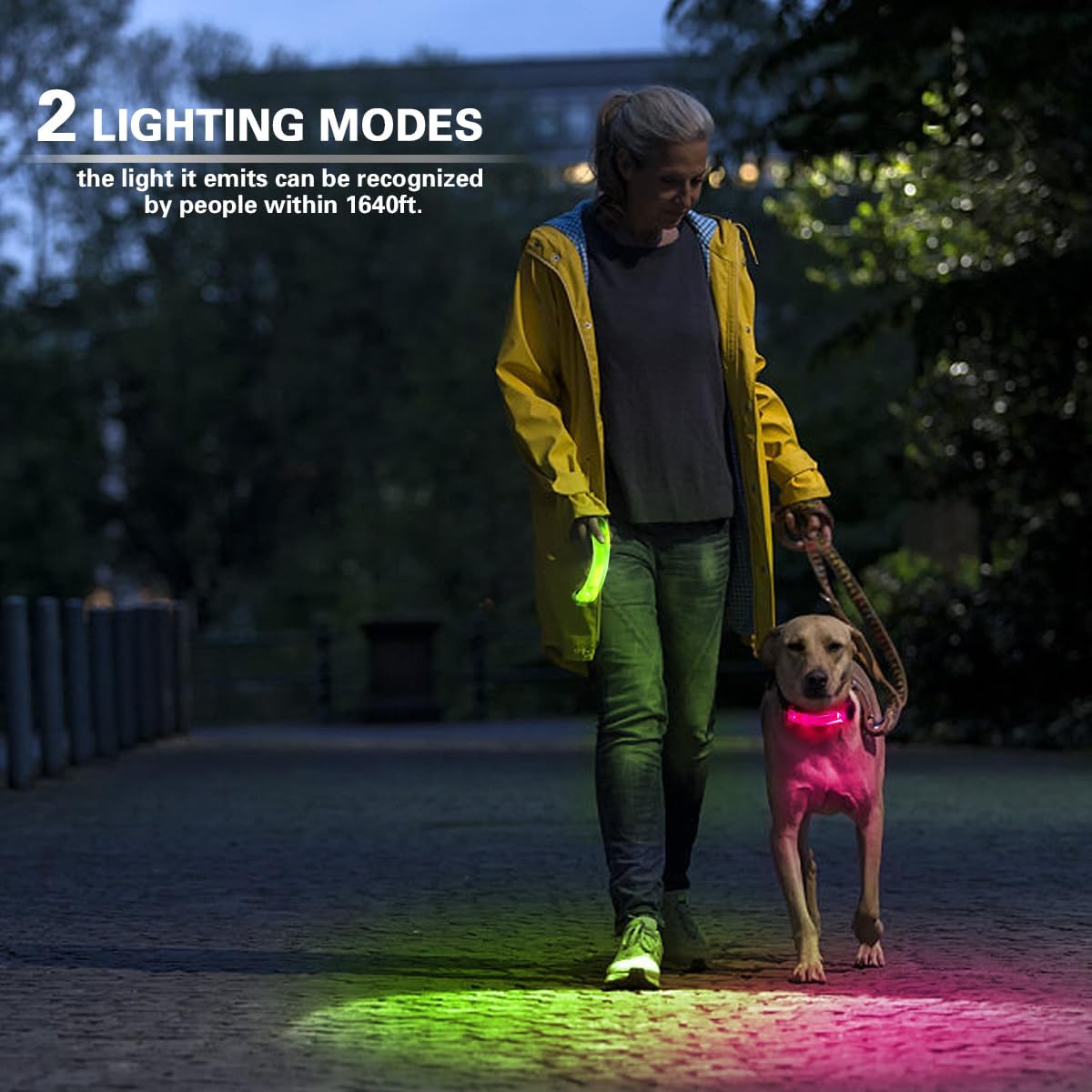 Skiennix LED Dog Light - Waterproof Glow Light for Collars & Leashes | Easy Attach, 2-Pack