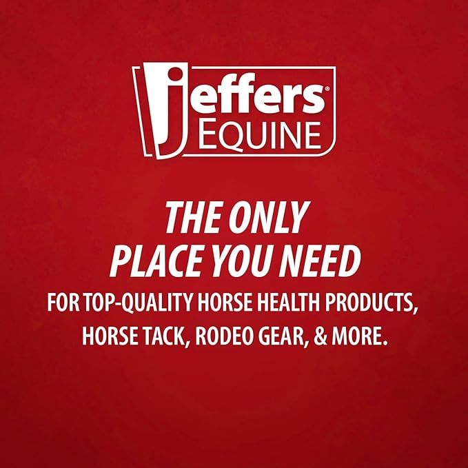 Jeffers Equine Protective Horse Boots 1 Pair Red - Safe Neoprene Leg Guards & Comfortable Fit, Durable Strap Closures, Front & Hind Support, Equestrian Accessories for Travel & Riding - Small