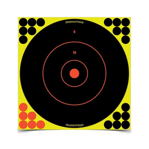 Birchwood Casey Shoot-N-C Adhesive Paper Bullseye Target 12" 12PK
