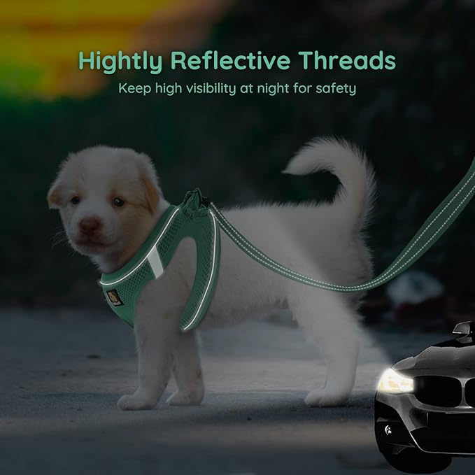 BELLA & PAL Step in Vest Harness for Small and Medium Dogs, No Pull Small Dog Harness with Leash Set, Comfortable Air Mesh Dog Vest Harness with Reflective Strip (Emerald, L)