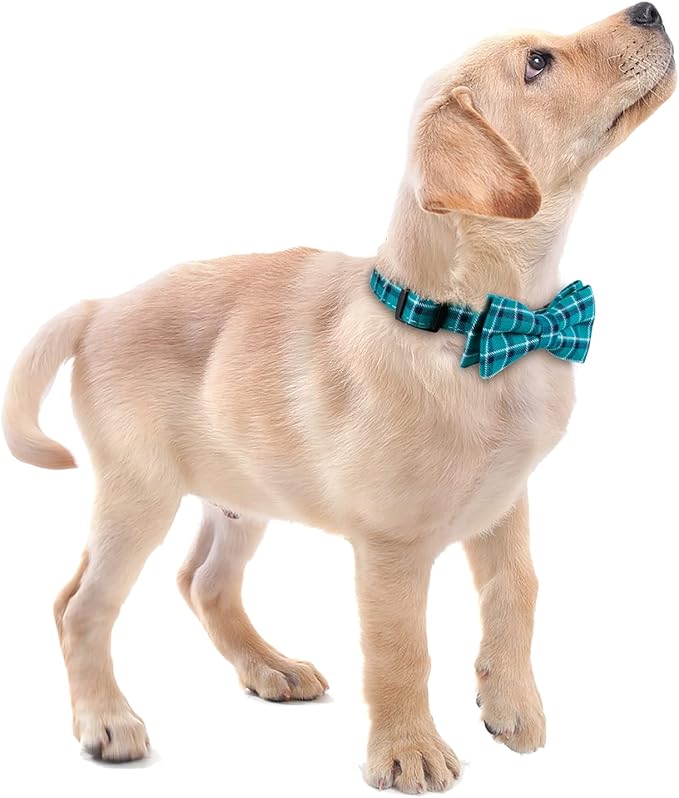 Faleela Soft &Comfy Bowtie Dog Collar,Detachable and Adjustable Bow Tie Collar,for Small Medium Large Pet (Medium (Pack of 1), Green)