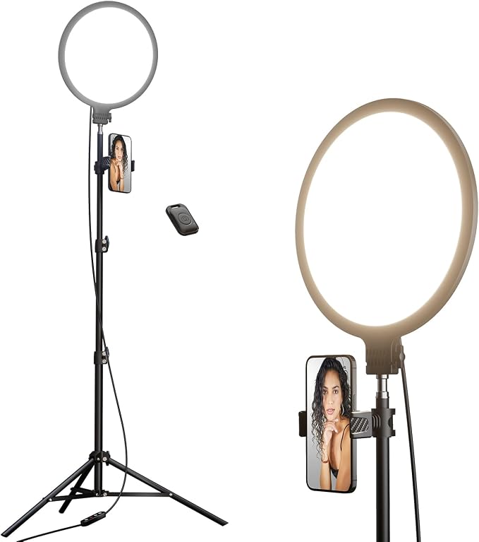 Weilisi 10.5" Ring Light with 69" Tripod Stand and Phone Holder Kit,