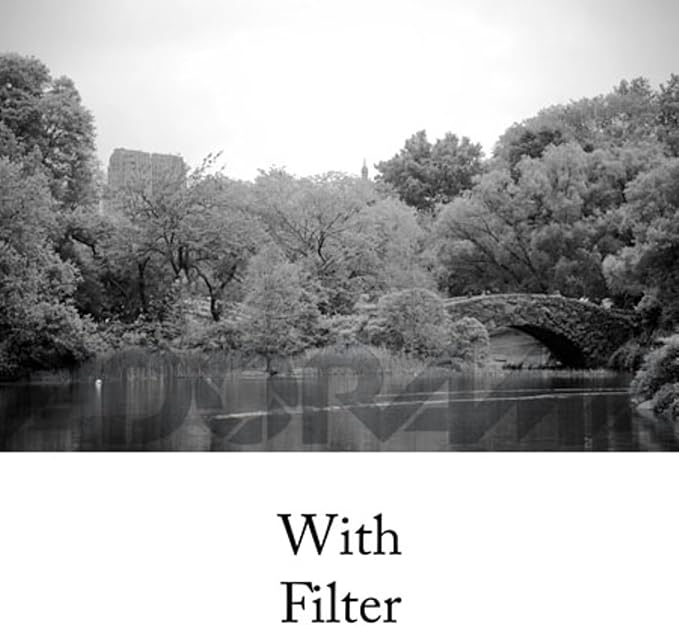 Tiffen 77mm 21 Filter