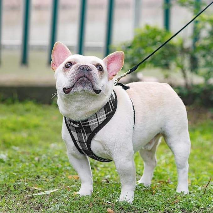 PUPTECK Soft Mesh Dog Harness and Leash Set Pet Puppy Cat Comfort Padded Vest No Pull Harnesses, Black&White, L