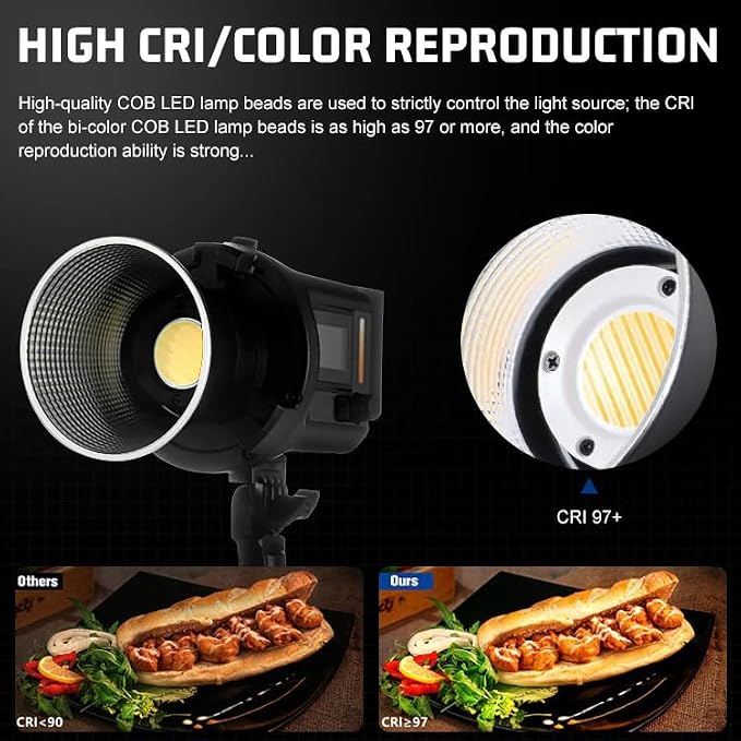 REFLEX CAMERA Professional 80W Handheld LED Photography Light – Portable Studio