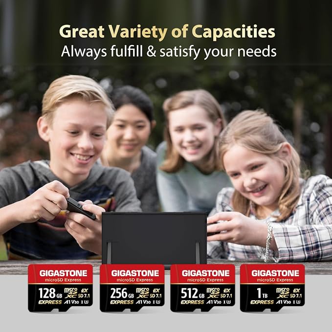 【Designed for Switch 2】 GIGASTONE 256GB microSD Express R/W 880/650MB/s SDXC