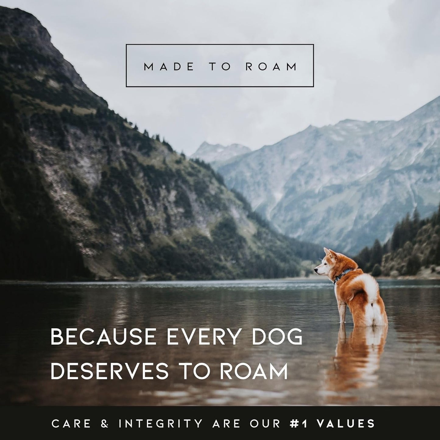 MADE TO ROAM Premium Explorer Harness - Y-Shaped Dog Harness with Adjustable Durable Nylon, Soft Padding, Metal Buckles and Leather Handle for Small, Medium, Large Dogs (Alaska Daybreak, Size 1)