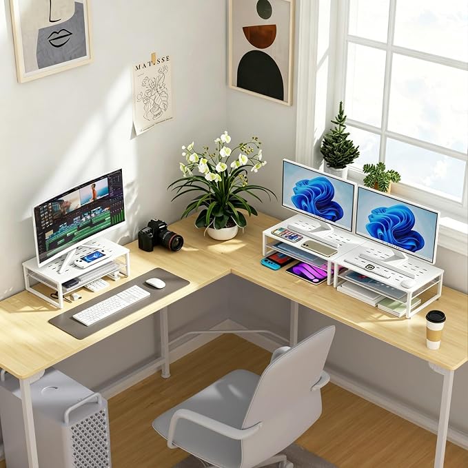 gianotter 2-Tier Metal Monitor Stand Riser, Desk Accessories & Workspace Desk