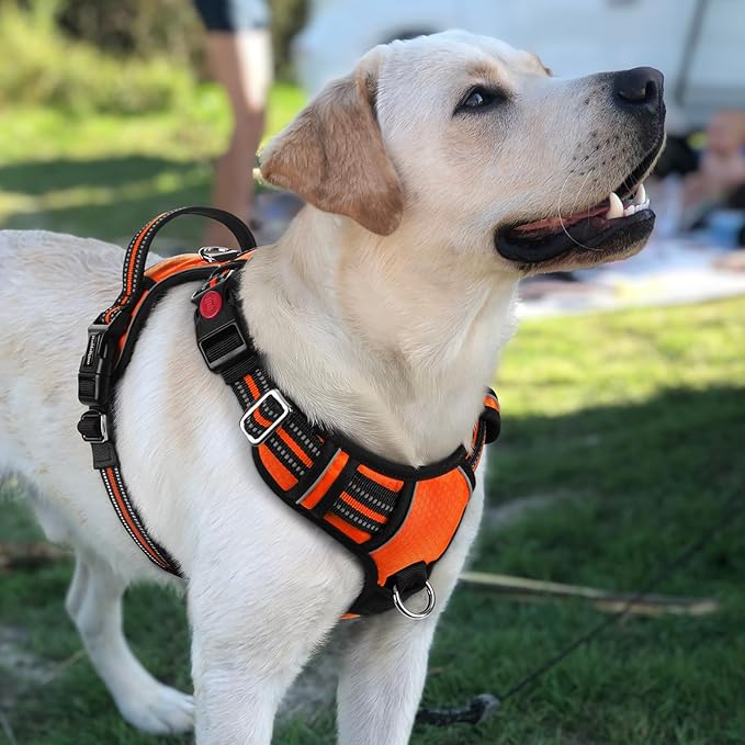 rabbitgoo Dog Harness for Large Dogs, No Pull Pet Vest with 3 Buckles, Adjustable Soft Padded Pet Harness with Easy Control Handle and Reflective Strips, Orange, L
