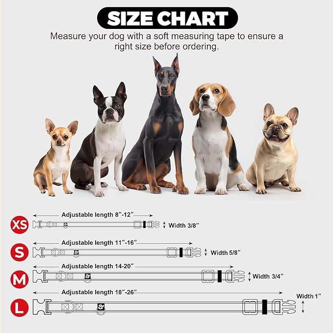 azuza Reflective Dog Collar with Airtag Holder, Soft Neoprene Padded Pet Collar with ID Tag Ring, Adjustable for Medium Dogs,Purple,M
