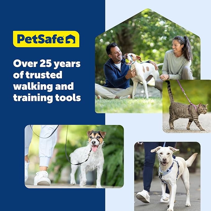 PetSafe Martingale Collar with Quick-Snap Buckle - Adjustable No-Slip Quick Release Dog Collar - Everyday Wear No-Pull Training Aid - 3/4" Wide - Small - Royal Blue