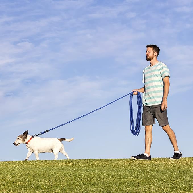 Long Dog Leash for Training 50Ft-Reflective Nylon Rope with Swivel Hook-Recall Agility Lead for Large Small Medium Dogs Outside Walking Hiking-Royal Blue Diam 1/2"