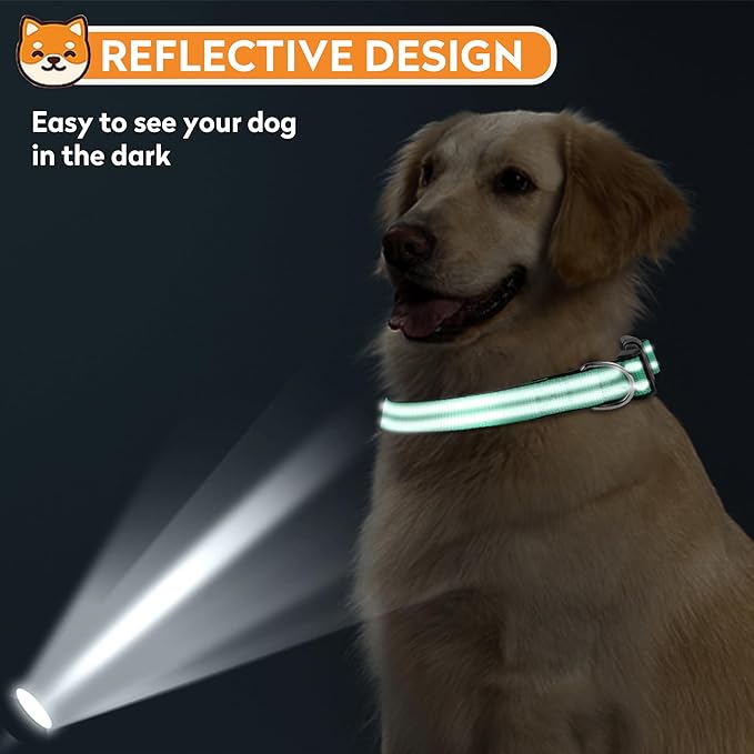 Reflective Dog Collar, Adjustable Soft Neoprene Padded Nylon Pet Collars with Buckle for Small Dogs, Grass Green,S