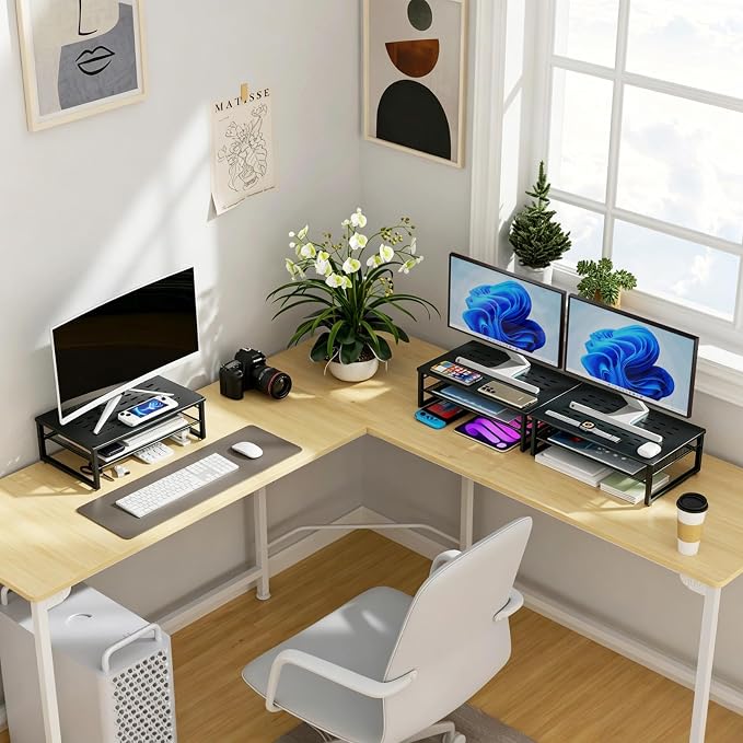 gianotter Desk Organizers and Accessories, 2-Tier Metal Monitor Stand Riser