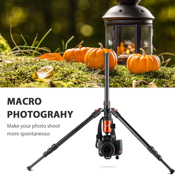 GEEKOTO 77'' Aluminum Camera Stand & Monopod, Foldable Travel Gear