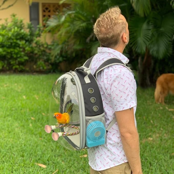 Bird Traval Carrier Cage, Clear Space Capsule Astronaut Backpack to Carry Parakeet Cockatiel Parrot with Metal Tray Wood Perch, Vet Transport Book Bag