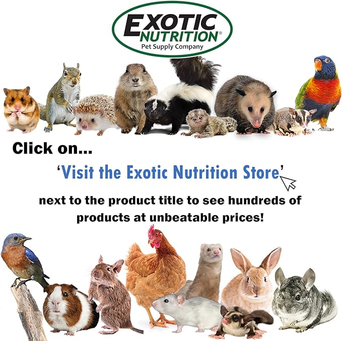 Mango & Papaya Treat (4.5 oz.) - Healthy Treat for Small Animals - Sugar Gliders, Rats, Chinchillas, Ferrets, Parrots, Hamsters, Squirrels, Hedgehogs, Guinea Pigs, Rabbits & Other Small Animals