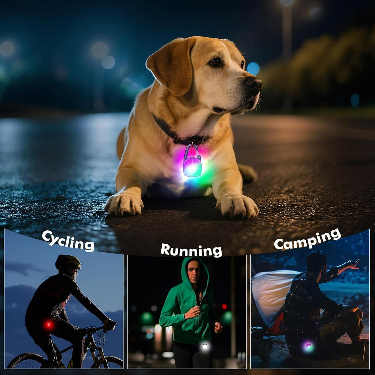 Skiennix Dog Lights - 2 Pack LED Rechargeable Safety Collar Lights with 4 Modes | IP68 Waterproof for Night Walking & Outdoor Activities