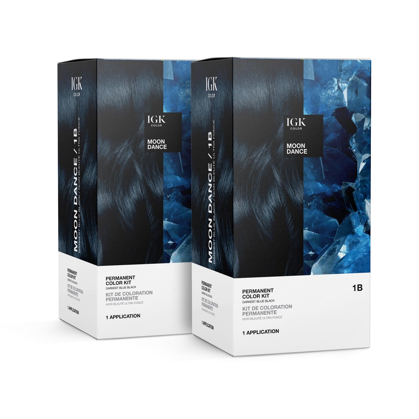 Igk Permanent Color Kit (2-Pack) Moon Dance - Darkest Blue Black 1B | Easy Application + Strengthen + Shine | Vegan + Cruelty Fr