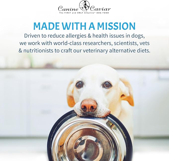 Canine Caviar - Wild Ocean: Herring & Teff Alkaline Dry Dog Food, Limited Ingredients, Gluten-Free, Based on Science & Research, Veterinary Alternative Diet (4.4 Pound Bag)
