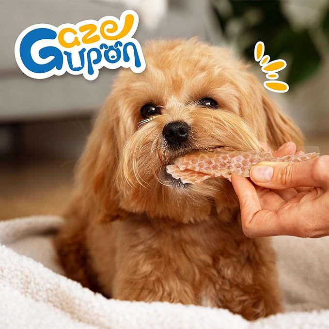 gazeupon Chicken Jerky Dog Treat,Training Treats for Dogs w/Glucosamine Chondroitin, High Protein, Made with Real Chicken