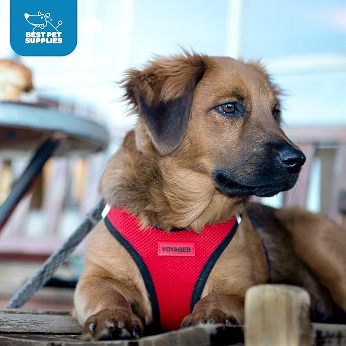 Best Pet Supplies - All Weather Mesh / Plush, Reflective, No Pull Harness for Small, Medium Dogs, Cats - Secure with Hook & Loop Fastener, Buckle, Double D-Rings - Red/Black Trim, S