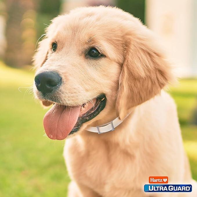 Hartz UltraGuard Flea & Tick Collar for Dogs and Puppies