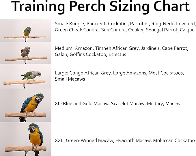 Parrot Training Perch Kit (T Perch, Small)