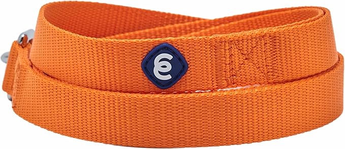Blueberry Pet Essentials Matching Dog Collar and Leash Set in Orange Vermilion, Adjustable Classic Solid Color Nylon Collar with 5 ft Leash for Medium Dogs