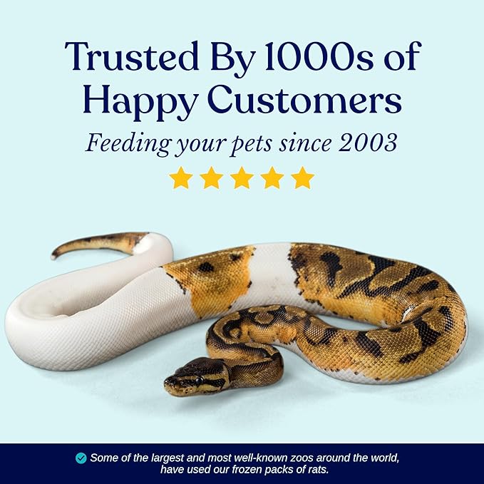 MiceDirect EST. 2003 40 Frozen Mice Pinkie Feeders Snake Food for Corn Ball Pythons Lizards (.5-1 in) (80 Grams Min)