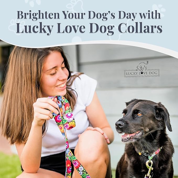 Lucky Love Dog - Adjustable Dog Collar with Easy Click Buckle for Small Ones, Durable, & Comfortable for Male & Female Dogs, Pet Collar for Puppies & Adult Dogs - Blackbird, X-Small