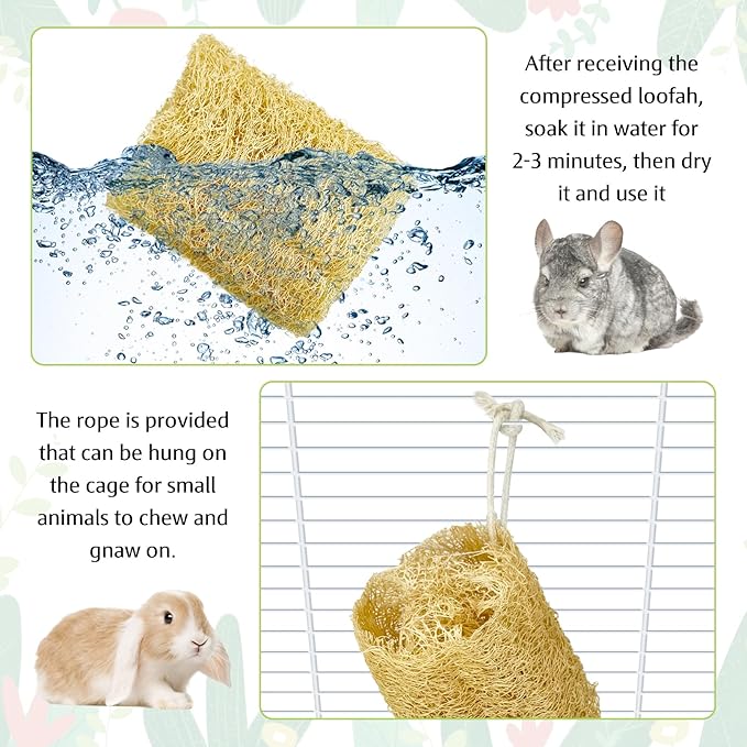 BNOSDM Bunny Chew Toys Natural Loofah 6PCS Bunny Teeth Grinding Toy Rabbit Fiber-Rich Treats Pet Entertainment Accessories for Rabbits Chinchillas Guinea Pig(XL)