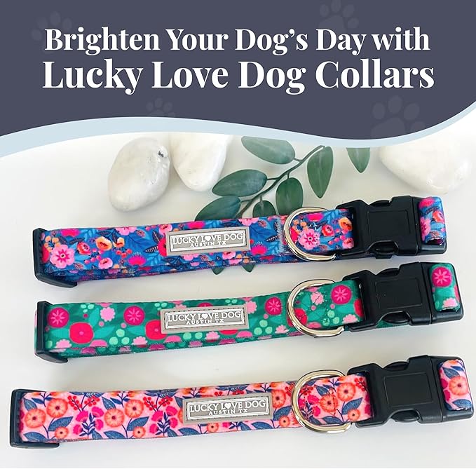 Lucky Love Dog - Easy Click Buckle Dog Collar with Leash Set Combo, Durable & Comfortable for Male & Female Dogs, Pet Collar for Medium Dogs, Secure Fit - Floral Rosie Combo, Medium