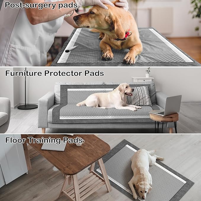 MIZOK Puppy Pads for Dogs 23X24in Pet Pads, Charcoal Odor Eliminating Wee Wee Pads for Dogs Absorbs Up to 4 Cups Urine, 6 Layers Leak-Proof Puppy Pads Pet Training Pads (100 Counts)
