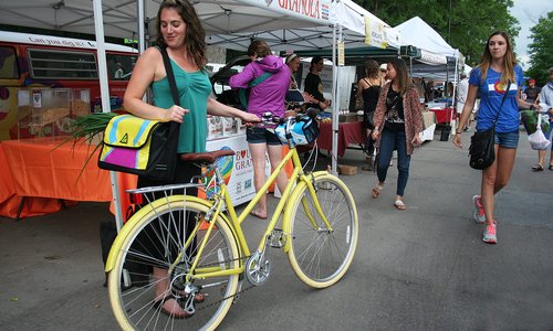 Green Guru Dutchy Pannier