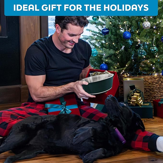 Master Pet Supply Stainless Steel Dog Bowls Set of 2 (16 Oz Each) with Non-Slip Rubber Base - Mango Tango - Basic Dog Food Bowl Water & Food Bowls for Small Medium Large Dogs & Cats, Metal Dish
