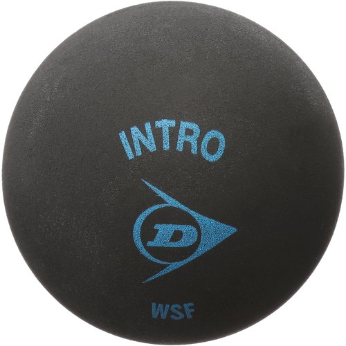 Dunlop DA50032 Intro Squash Ball, 1 Pack