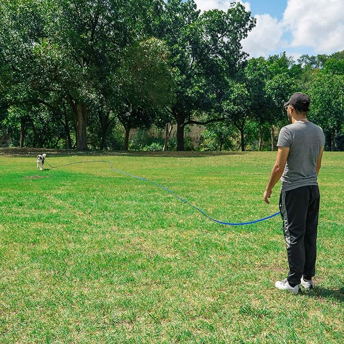 Hi Kiss Dog/Puppy Obedience Recall Training Agility Lead - 15ft 20ft 30ft 50ft 100ft Training Leash - Great for Training, Play, Camping, or Backyard Purple 30 Feet