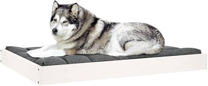 Elevated Solid Pine Wood Dog Bed for Medium Breeds, 40.0 x 29.1 x 3.5 Inches, White Minimalist Pet Furniture with Orthopedic Support and Easy-Clean Finish