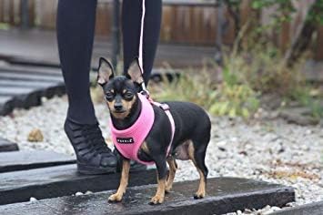 Puppia Soft Dog Harness No Choke Over-The-Head Triple Layered Breathable Mesh Adjustable Chest Belt and Quick-Release Buckle, Black, Small