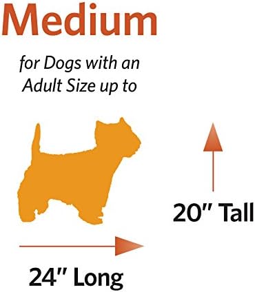 MidWest Homes for Pets Medium Ovation Single Door Folding Dog Crate, 30-Inches, Space-Saving Patented Up & Away Door, Leak-Proof Pan, Divider Panel, Black