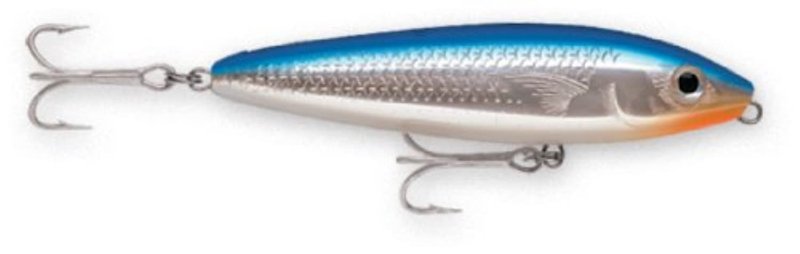 Saltwater Skitter Walk 11 Blue Mullet