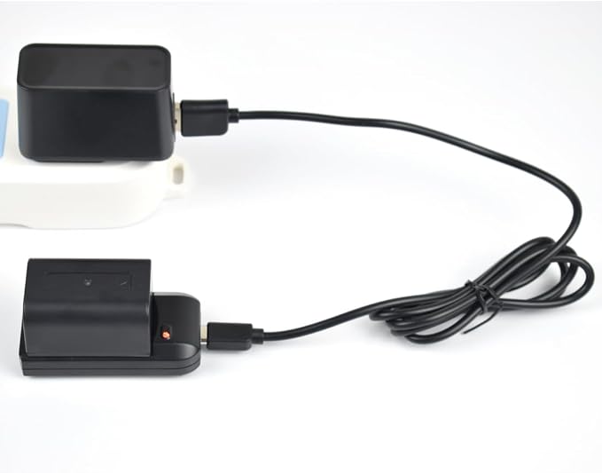 NP-FV5 Battery Charger with Charging Plug and USB Cable
