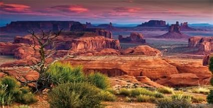 72X16IN Desert Loess Rock Cactus Oasis Reptile Habitat Background, Natural Sunset Desert Themed Terrarium Background, Aquarium Background with 10 EVA Double-Sided Tape