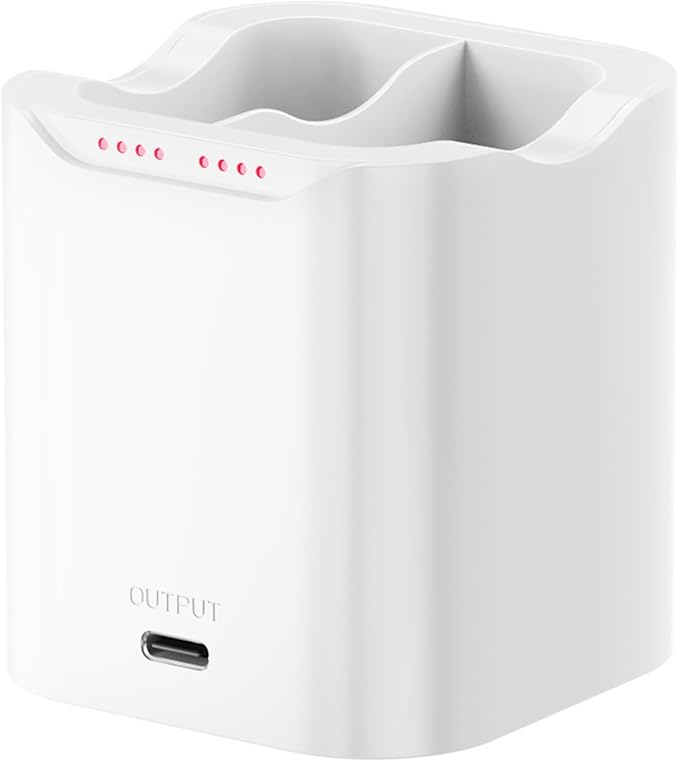 Charging Station for Ring Quick Release Battery Pack, 24W Fast Charger for