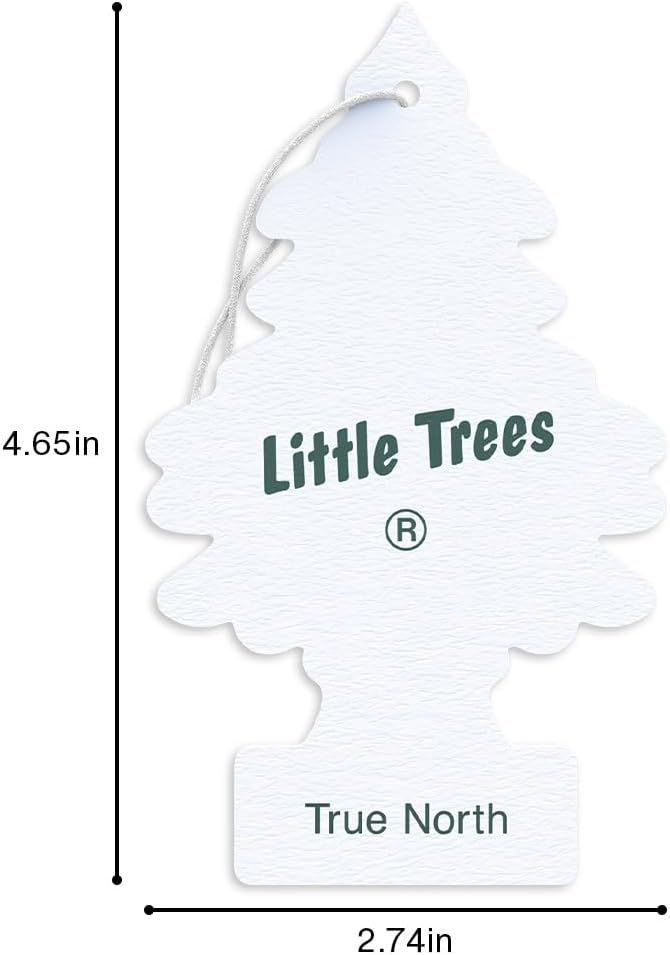 LITTLE TREES Car Air Freshener | Hanging Tree Provides Long Lasting Scent for Auto and Home | 24 Air Fresheners |True North