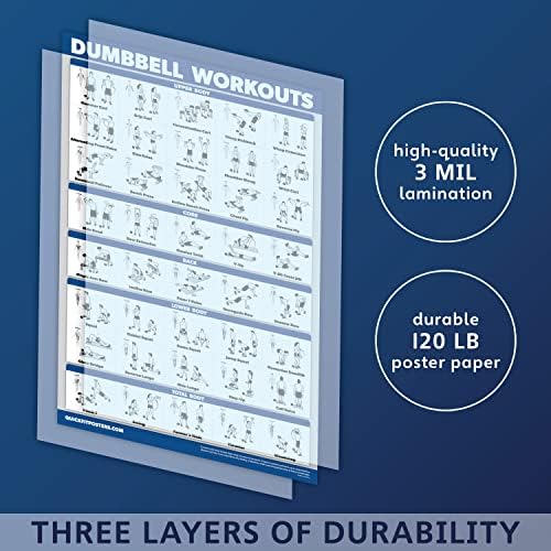 Skiennix Exercise Workout Poster Set - 10 Pack of Laminated Fitness Charts | 18" x 24" Size