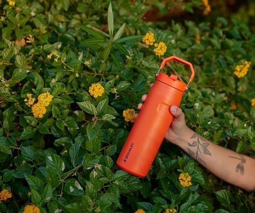 Stanley IceFlow 2.0 Water Bottle - 36 oz Insulated Stainless Steel | Lightweight, Leak Resistant, BPA-Free | Twilight
