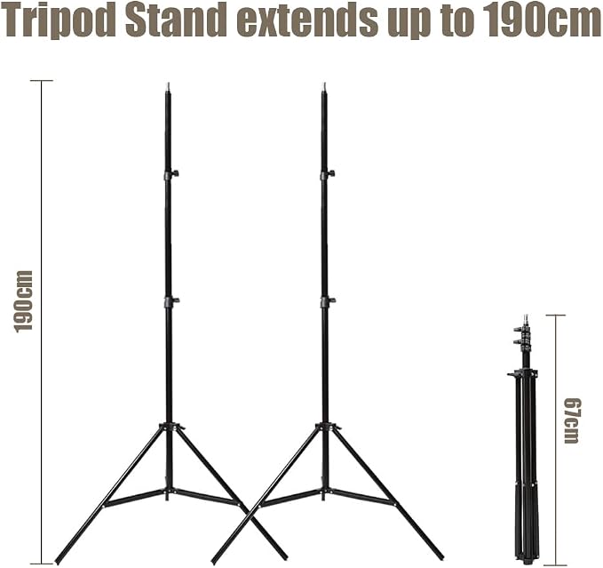 Godox 600W Professional Studio Strobe Lights Kit, 2X 300W 5600K Monolights